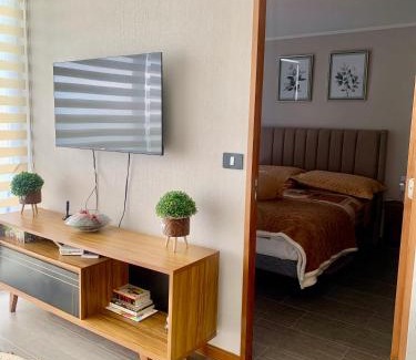 Cavancha Apartamento | Deapartamento al Océano-Primer Linea ,Península Cavancha