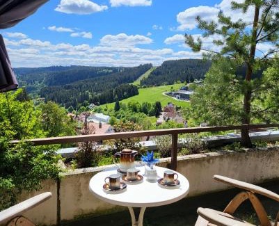 Schonach im Schwarzwald Apartamento | Deck-Apartment next to the forest, free parking