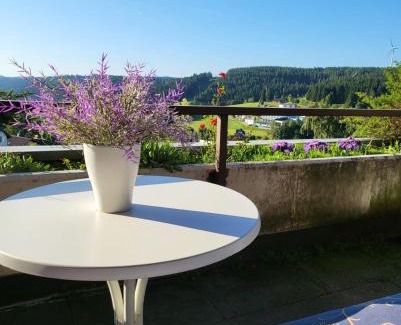 Schonach im Schwarzwald Apartamento | Deck-Apartment next to the forest, free parking