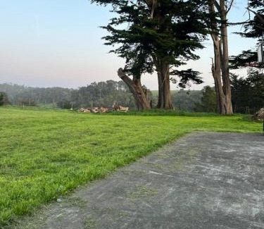 Point Arena Casa | Deer's Meadow