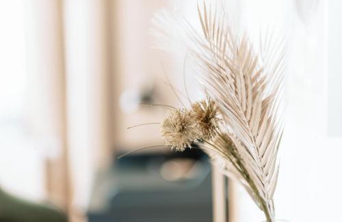 Neuwied Apartamento | Deichstadt Apartments