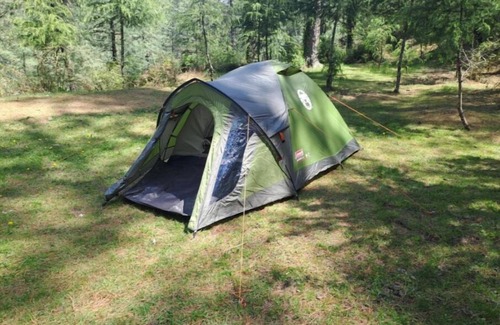 Shimla Alquiler De RV | Delicate camp A