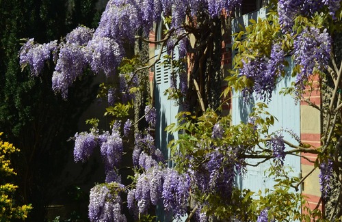 Mazamet Cabaña | Delicioso rural en el suroeste de Francia - Jardín privado, cerca de la ciudad y bellos paseos