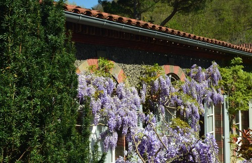 Mazamet Cabaña | Delicioso rural en el suroeste de Francia - Jardín privado, cerca de la ciudad y bellos paseos