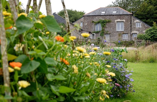 Torpoint Casa | Delightful pet friendly cottage in 3 acres of land just a mile from the beach.