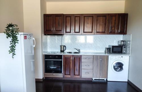 Shiligarnika Apartamento | Deluxe Apartment 200m from SKI ROAD