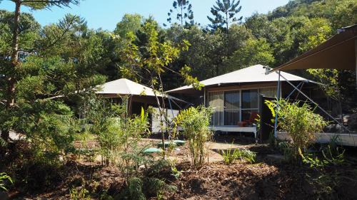 Nelly Bay Otro | Deluxe King Safari Tent 2