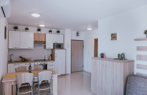 Zrce Apartamento | Deluxe Pool Apartments for 16