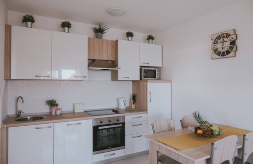 Zrce Apartamento | Deluxe Pool Apartments for 16
