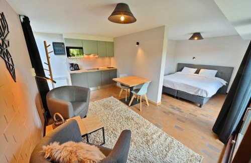 Vielsalm Apartamento | Demoiselle