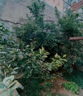 Ayvalik City Center Apartamento | Deniz Manzaralı Müstakil ev Aybalik