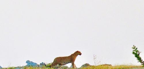 Devgarh Casa | Deogarh Hills A Village Experience Property