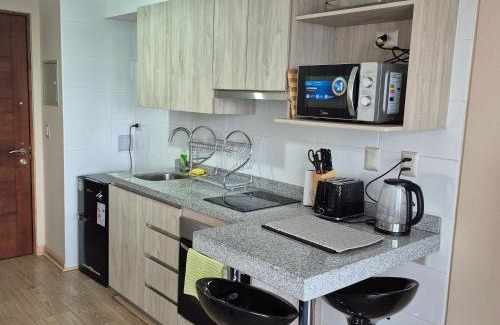 Osorno Apartamento | Departamento Central Osorno 2