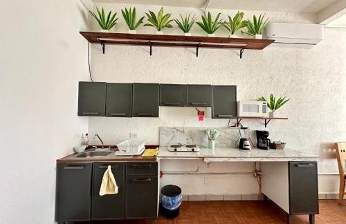 Los Cabos Apartamento | Departamento centrico, 2 habitaciones , 4 camas matrimoniales, 1 bano completo, 1 estacionamiento