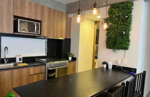 Guadalajara Apartamento | Departamento centrico