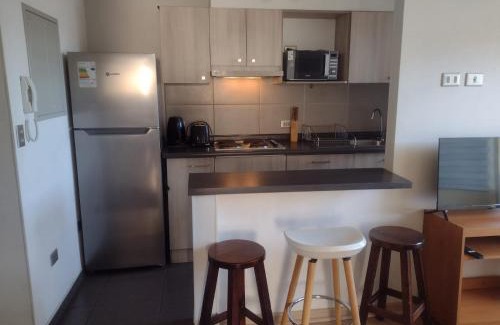 Temuco Apartamento | Departamento El Canelo