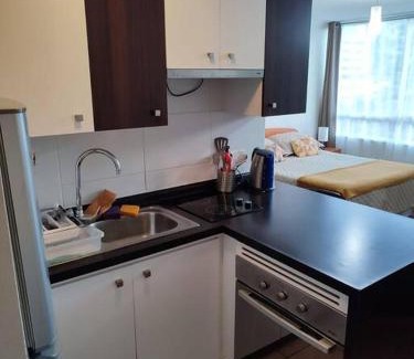 Vina del Mar Apartamento | Departamento en centro de Viña del Mar
