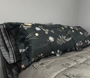 Temuco Apartamento | Departamento Estudio, 4 personas Depto 2