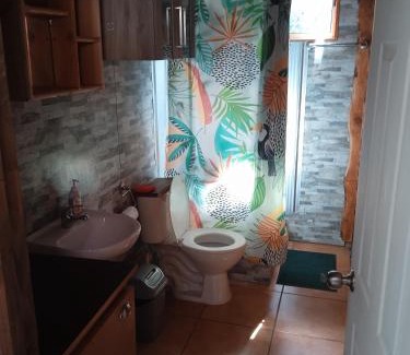 Pucon Apartamento | Departamento frente a la entrada de los ojos del caburgua