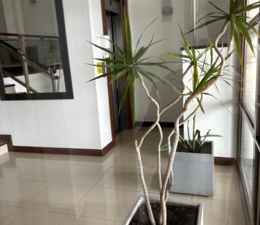Necochea Apartamento | Departamento Gran Mar