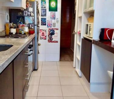 Santiago Apartamento | Departamento luminoso a pasos del Barrio Italia con vista a la cordillera