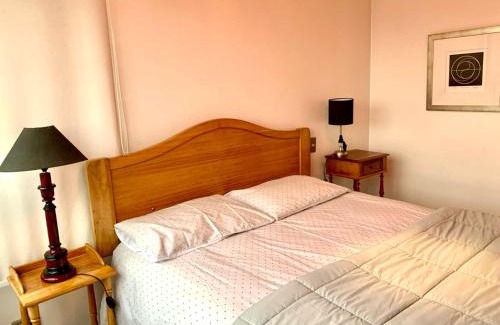 Santiago Apartamento | Departamento luminoso a pasos del Barrio Italia con vista a la cordillera