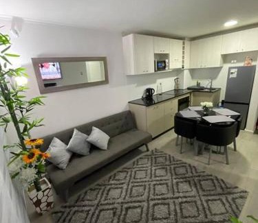 Vina del Mar Apartamento | Departamento nuevo moderno y elegante