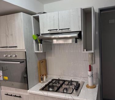Rio Bueno Apartamento | Departamento Plaza Río Bueno