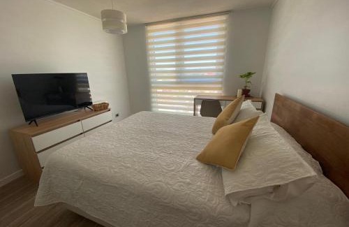 Valdivia Apartamento | Departamento Studio Isla Teja