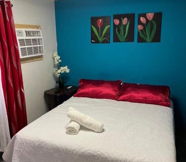 Segunda Sección Apartamento | Departamento Tulipán