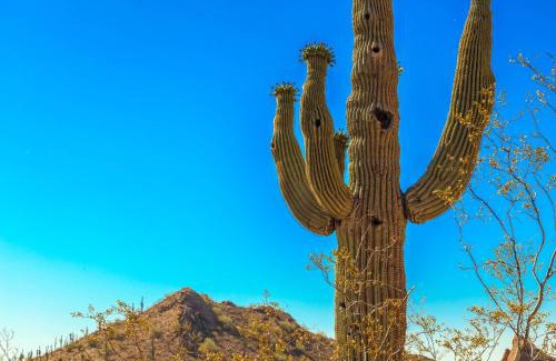 Foothills Casa | Desert Foothills