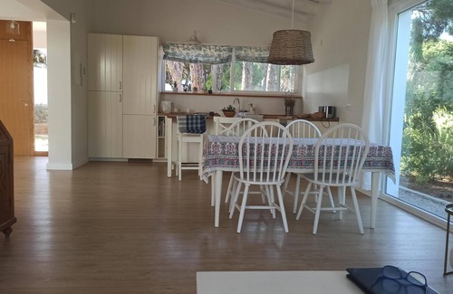 Los Franceses-la Vega Chalet De Esquí | Diseño y luz entre los pinos