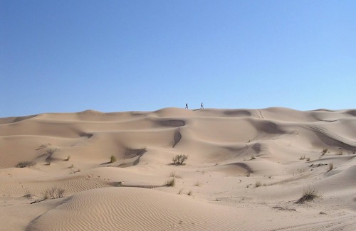 Douz Apartamento | Dessine-moi un Chameau