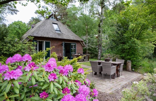 Hooghalen Casa | Detached bungalow with alcove bed, perfect for families in Drenthe.
