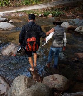 Valledupar Cama Y Desayuno | Dewachen, Retiro y Jardín Contemplativo