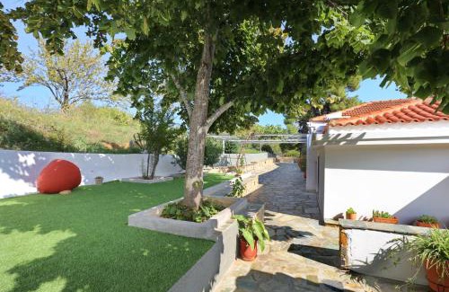 Skopelos Villa | Diakopi Villa