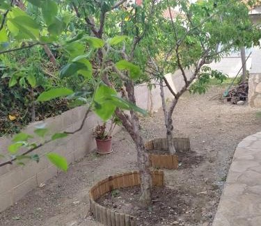 Riumar Casa | Diamond House