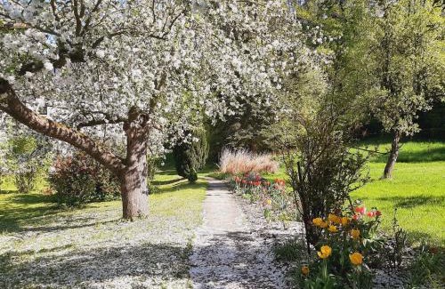 Bad Freienwalde Apartamento | Die Malche Gäste und Tagungshaus 26