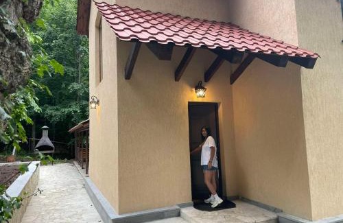 Dilijan Villa | Dilijan Dream House 1