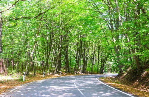 Dilijan Villa | Dilijan Dream House 1