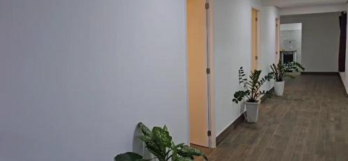 Porto Seguro Casa | Dima's