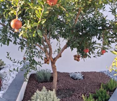 Angri Apartamento | Dimora da Anna tra Amalfi e Sorrento