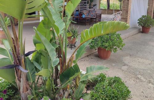 Naro Apartamento | Dimora Virone Paradiso