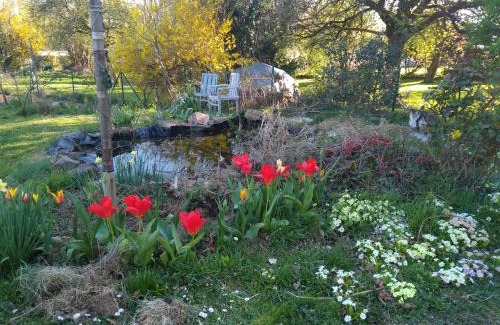 Awagne Casa | DINANT La Bergeronnette avec la chaleur du feu de bois et le jardin