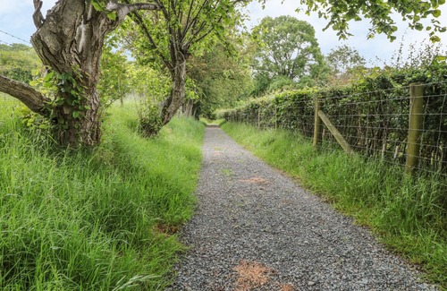 Hereford Cabaña | Dingle Den