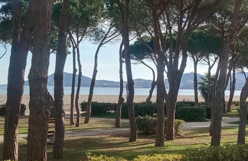Argeles Plage Apartamento | DIRECT PLAGE