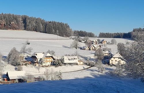 Biederbach Casa | Dischhof