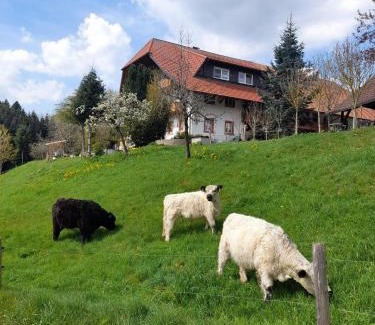 Biederbach Casa | Dischhof
