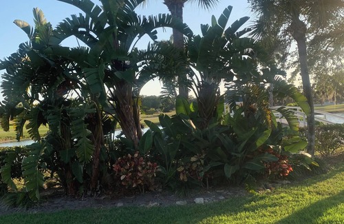 Palmetto Condominio | Discounted Rate! Terra Ceia Bay Golf & Tennis Club and a modest drive to Beaches
