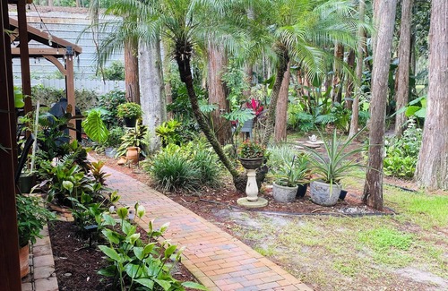 Land O' Lakes Apartamento | Disney,Busch Gardens,Beautiful Beaches 1-bedroom studio, 15 minutes from Tampa.